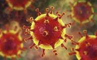 Corona-Virus: Weiterhin kein Trainingsbetrieb